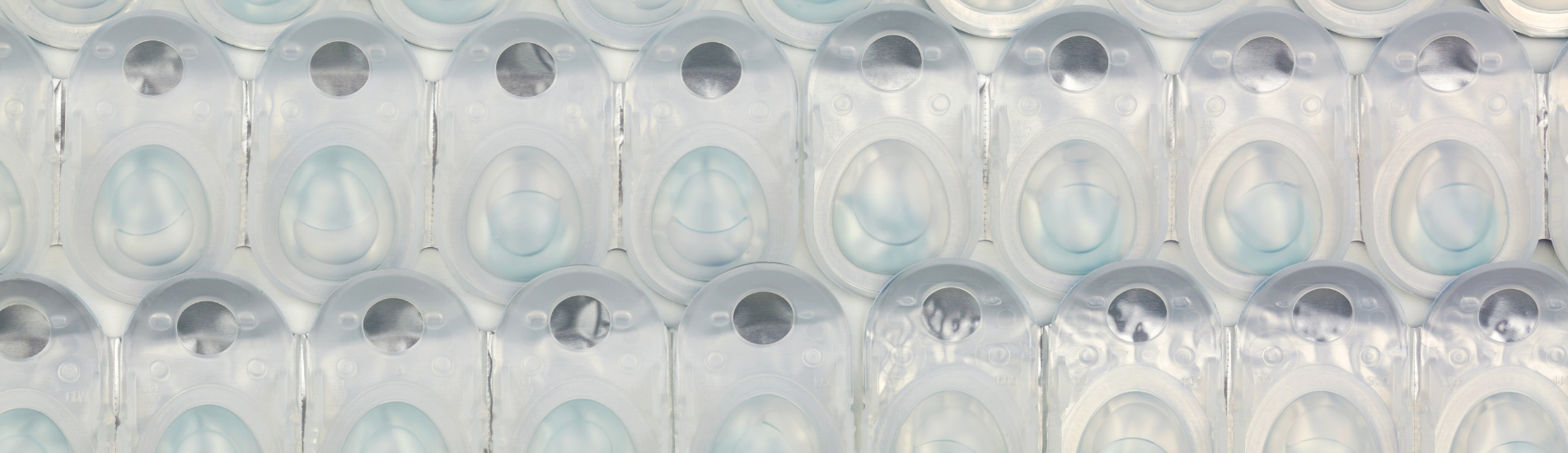 Ühekuused läätsed