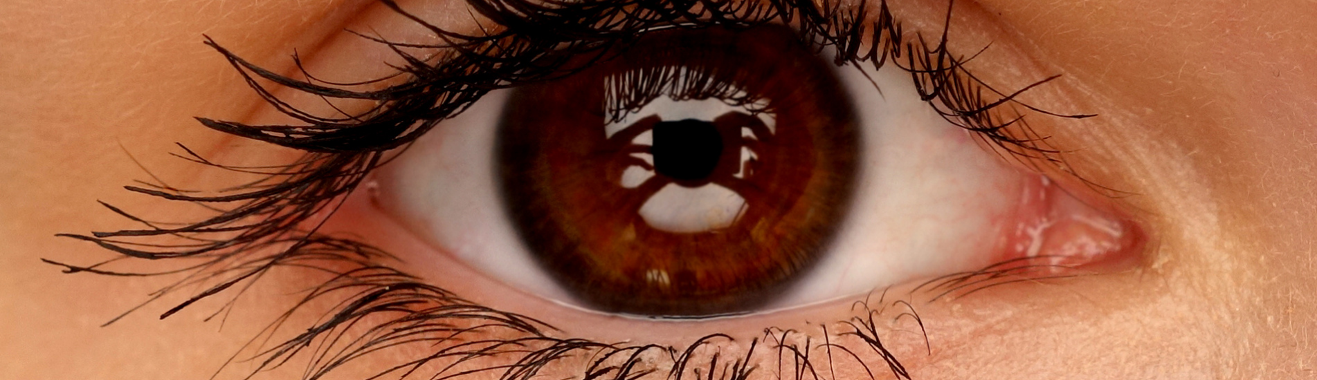 Kui kaua võib kontaktläätsi kanda