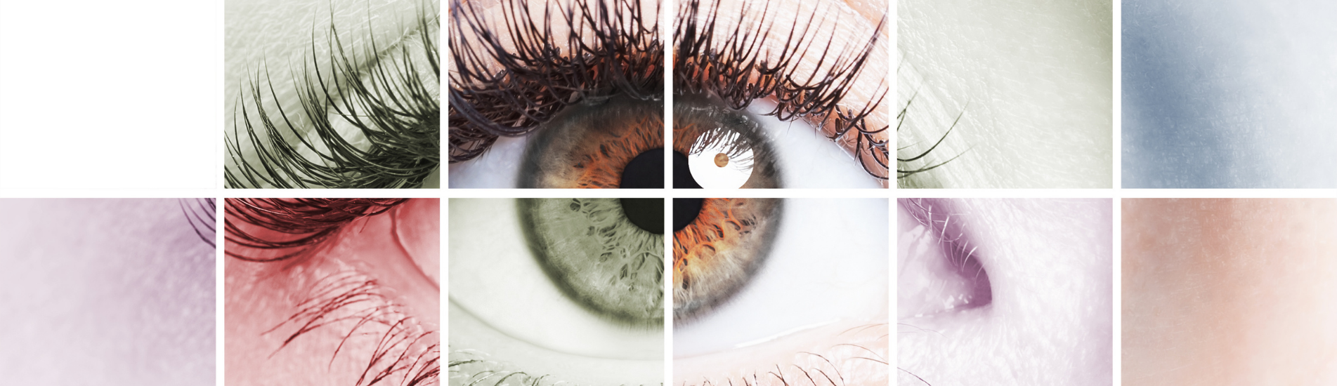 kuidas silmade optika tegelikult töötab